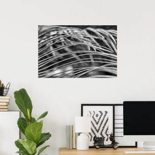 Affiche Belles feuilles de palmier