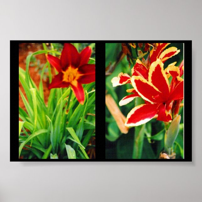 Affiche Belles Fleurs (Devant)