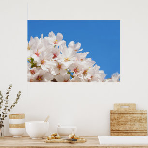 Affiche Belles fleurs de printemps