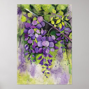 Affiche Belles Fleurs De Wisteria En Aquarelle