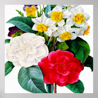 Affiche Belles fleurs vintages