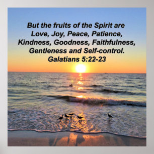 AFFICHE BELLES GALATIENNES 5 SOLEIL