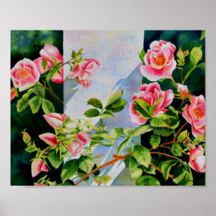 Affiche Belles roses roses roses, roses rouges, aquarelle