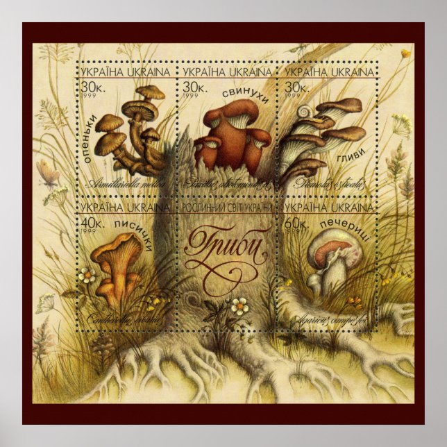 Affiche Belles Timbres de Champignons ~ Toadstool Ukraine  (Devant)