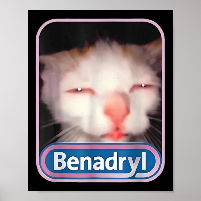 Affiche Benadryl Meme Chat Amusant Amoureux de les chats C (Devant)