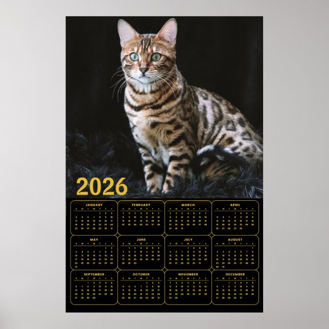 Affiche Bengal Cat 2026 Calendar (Devant)