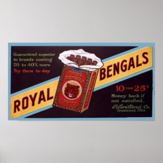 Affiche Bengale royal