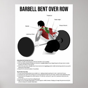 Affiche Bent Over Row - Exercice - Anatomie musculaire