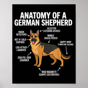 Affiche Berger allemand 