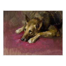 Berger allemand patient par Marino Lenci