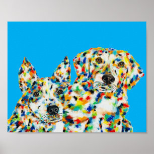 Affiche Berger Australien et Plott Hound