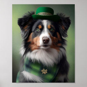 Affiche berger australien saint patrick