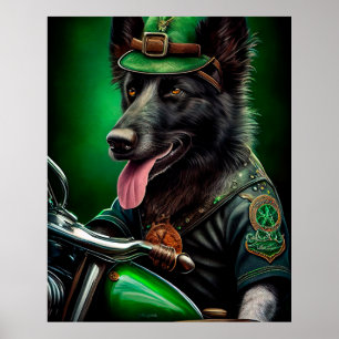 Affiche Berger belge conduisant un vélo Saint-Patrick