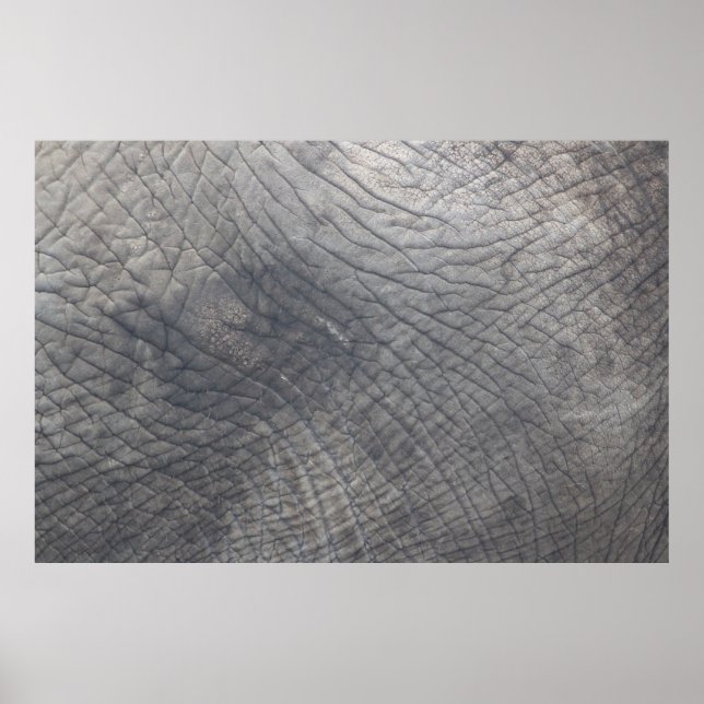 Affiche Berlin (Devant)