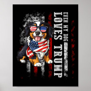 Affiche Bernese Mountain Même Mon Chien Aime Trump Funny