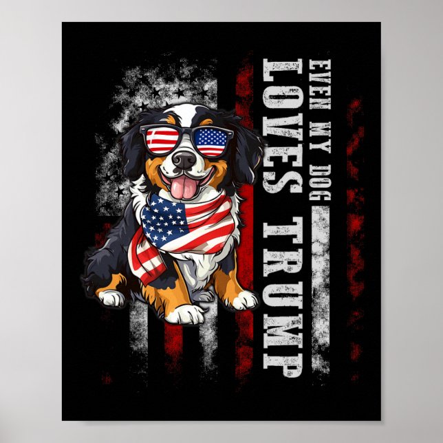 Affiche Bernese Mountain Même Mon Chien Aime Trump Funny (Devant)