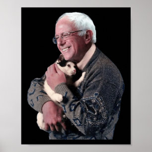 Affiche Bernie Sanders Accroche Cat Chemise mignonne Anima