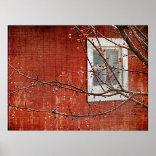 Affiche Berries et Grange