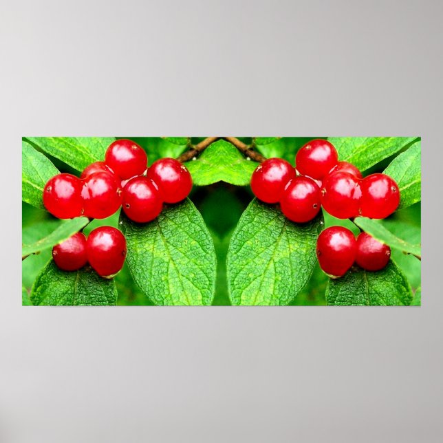 Affiche Berries rouges avec gouttes de pluie Miroir Abstra (Devant)