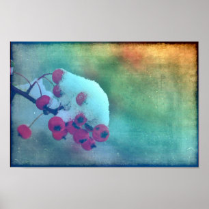 Affiche Berry Cold
