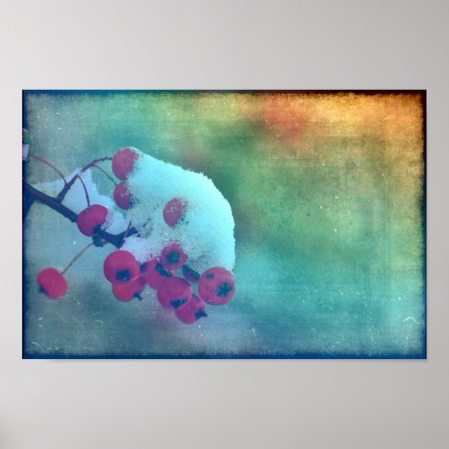 Affiche Berry Cold (Devant)