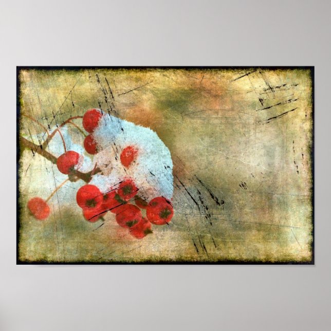 Affiche Berry Cold Grunge (Devant)