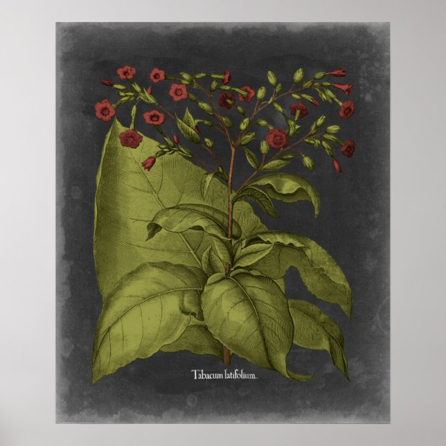 Affiche Besler Dramatique I (Devant)