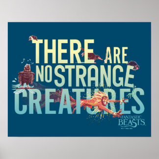 Affiche Bêtes Fantastiques - Il N'Y A Pas De Créatures Étr