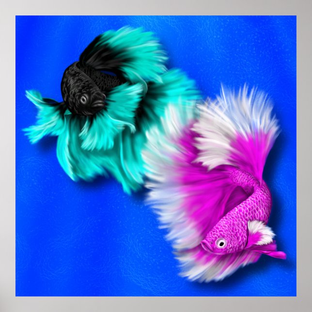 Affiche Betta Fish Duo, noir & turquoise, blanc & rose (Devant)