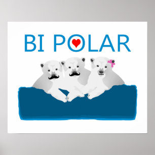 Affiche Bi Ours Polaires