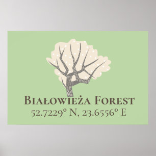 Affiche Białowieża Forest Latitude & Longitude