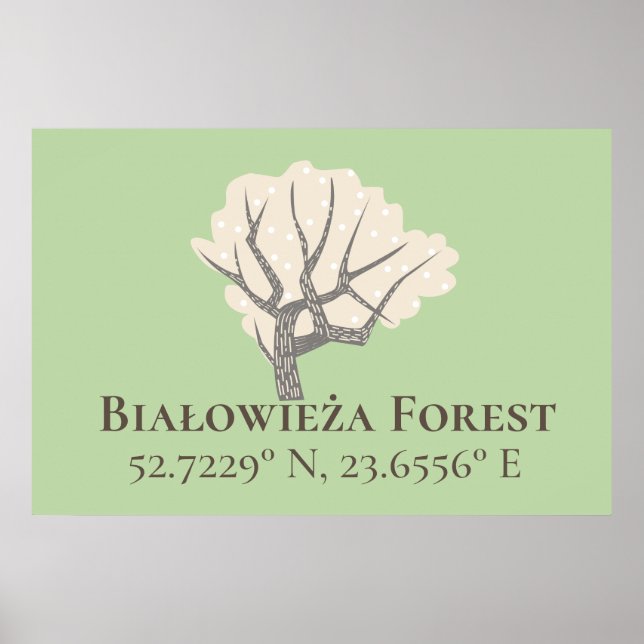 Affiche Białowieża Forêt Latitude & Longitude (Devant)