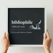 Bibliophile Définition d'un amoureux des livres (N