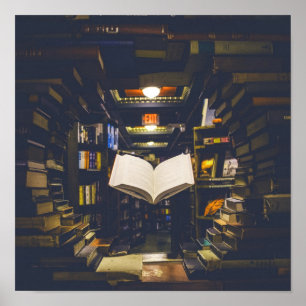 Affiche Bibliothèque Livres étagères Ouvrir livre Lire