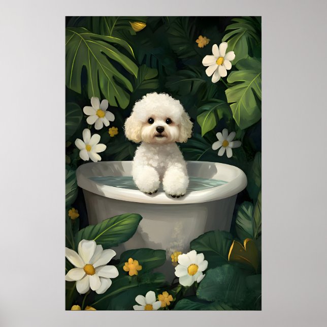 Affiche Bichon Frise dans baignoire, Affiche Chien (Devant)