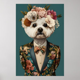 Affiche Bichon Frisé en costume, Bichon Frisé
