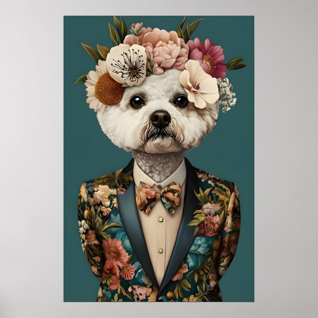 Affiche Bichon Frisé en costume, Bichon Frisé (Devant)