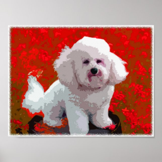 Affiche Bichon Frise Pop Art Prints (Devant)