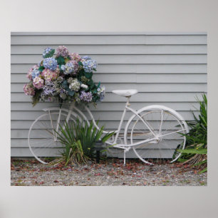 Affiche Bicyclette de plage