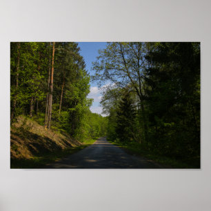 Affiche Biélorussie Forêt Route rurale Ciel Paysage Nature