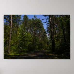 Affiche Biélorussie Forêt Route rurale Ciel Paysage Nature