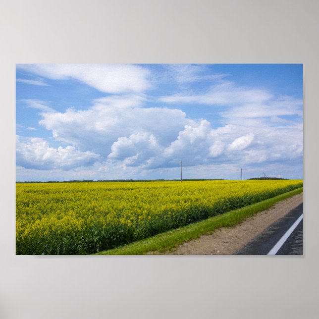 Affiche Biélorussie Route Canola Fields Ciel (Devant)