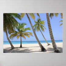 Bienvenue au paradis