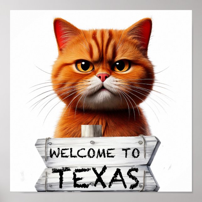 Affiche Bienvenue au Texas (Devant)