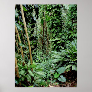 Affiche Bienvenue dans la Jungle