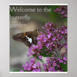 Affiche Bienvenue sur l'affiche du jardin des papillons—Sk
