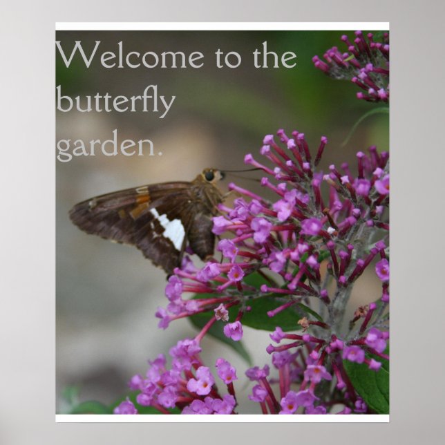 Affiche Bienvenue sur l'affiche du jardin des papillons—Sk (Devant)