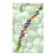 Bière Par Les Nombres - Hops
