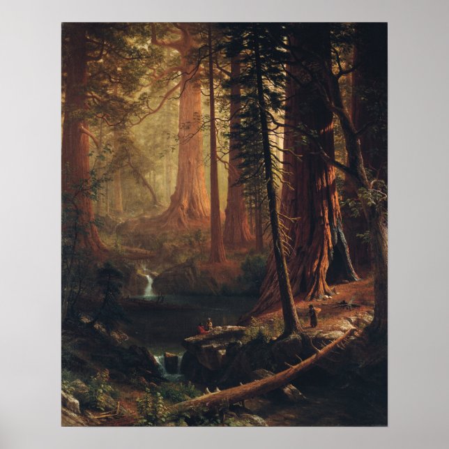 Affiche Bierstadt - Arbres Géants De Chênes-Lèvres De Cali (Devant)