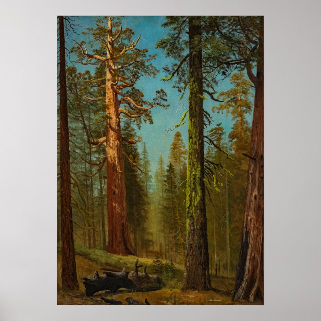 Affiche Bierstadt Peinture forestière géante Sequoia (Devant)
